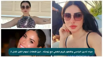 جرأة نادين الراسي وظهور كريم فهمي مع زوجته.. أبرز لقطات نجوم الفن خلال 2